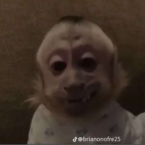 Meet your Posher, Darpan